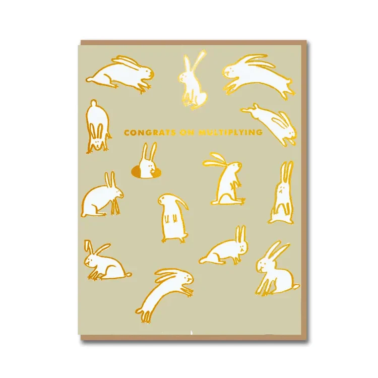 1973 - Baby Rabbits Multiplying