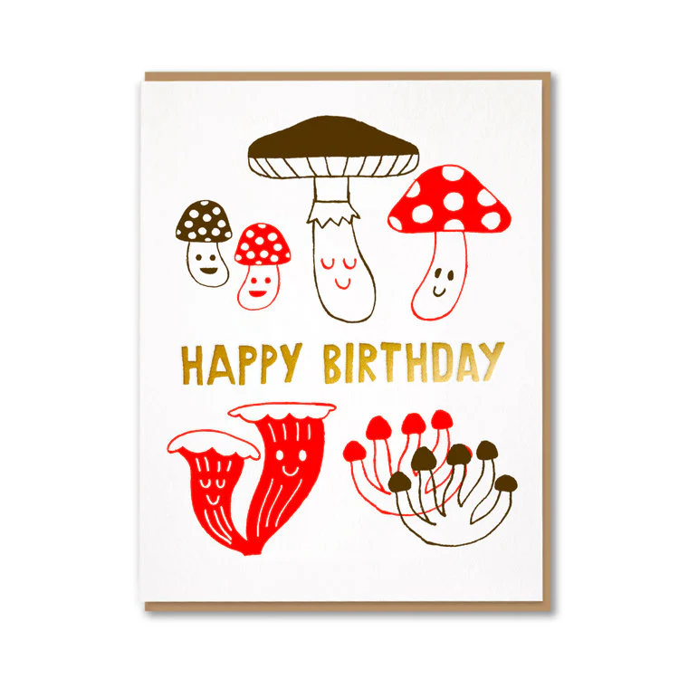 1973 - Mushrooms Birthday Land