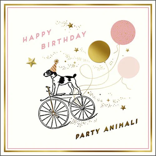 Alice Scott - Dog On Bike Party Animal
