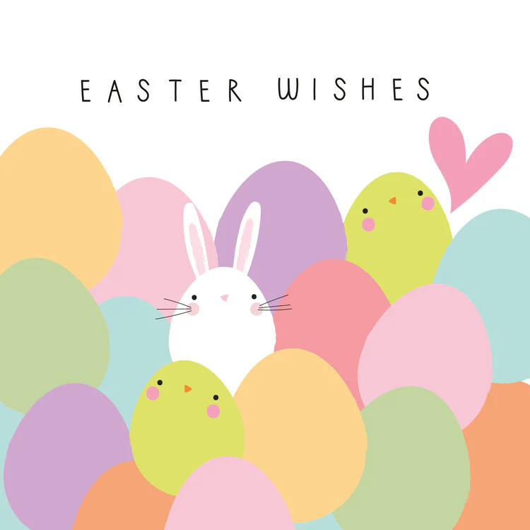 Belly Button Designs - Bunnies & Chicks