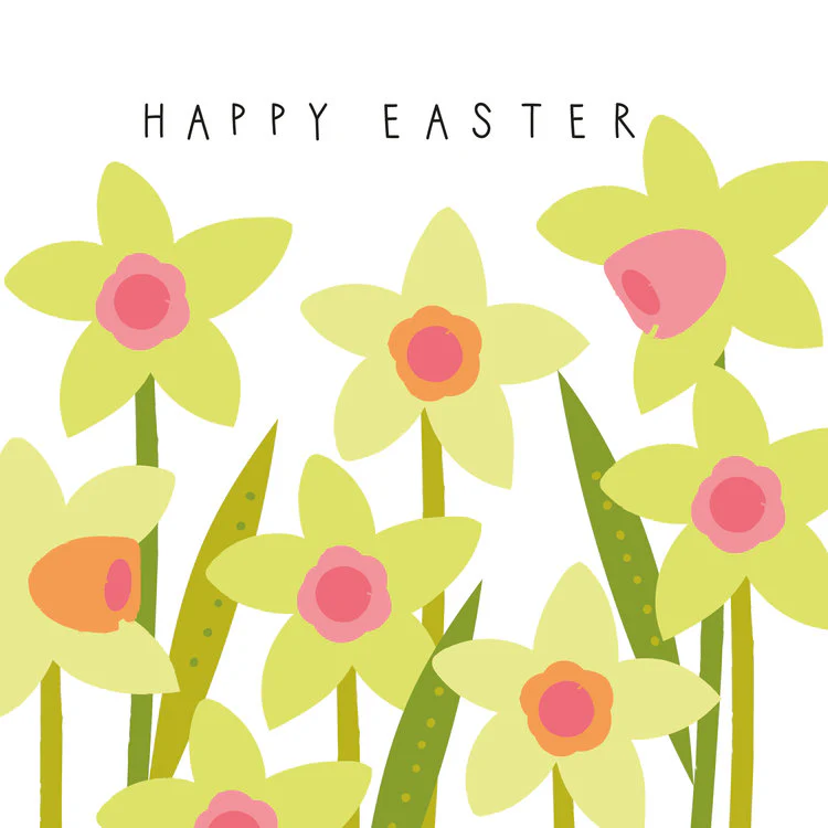 Belly Button Designs - Easter Daffodils