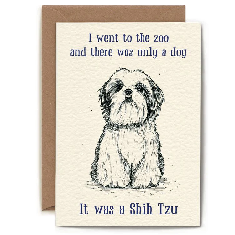 Bewilderbeest - Shih Tzu