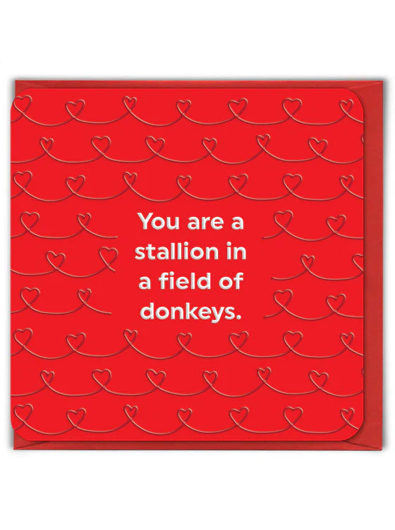 Brain Box Candy - Stallion In Field of Donkeys