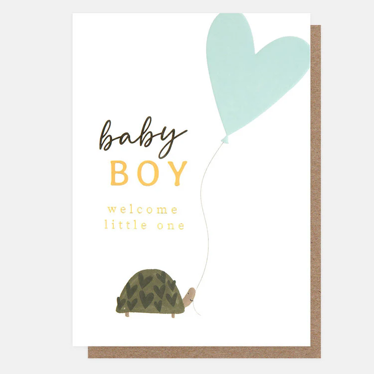 Caroline Gardner - Baby Boy Tortoise