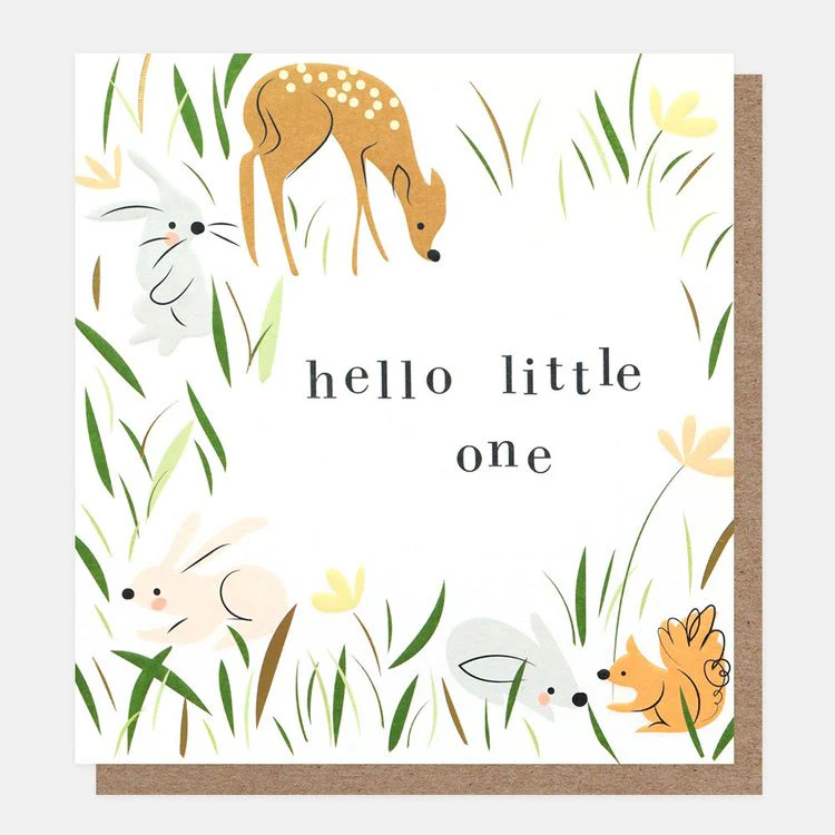 Caroline Gardner - Hello Little One