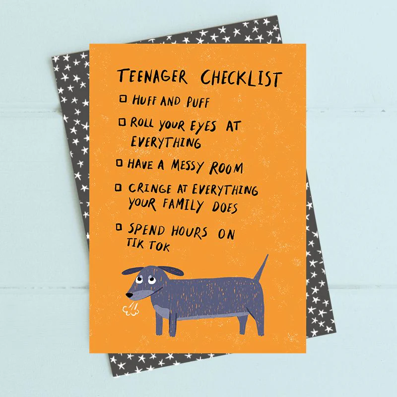 Dandelion Stationery - Teenager checklist