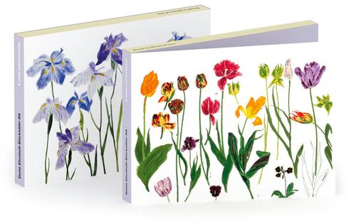 Elizabeth Blackadder - Notecard Wallet x 6