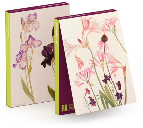 Elizabeth Blackadder - Notecard Wallet x 6