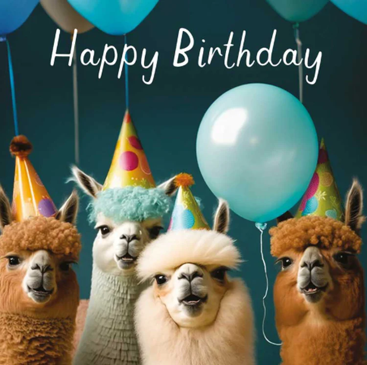 Hammond Gower - Happy Birthday Llamas