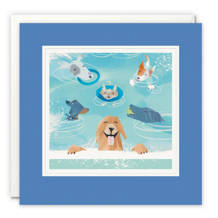 James Ellis - Dog Day At The Lido