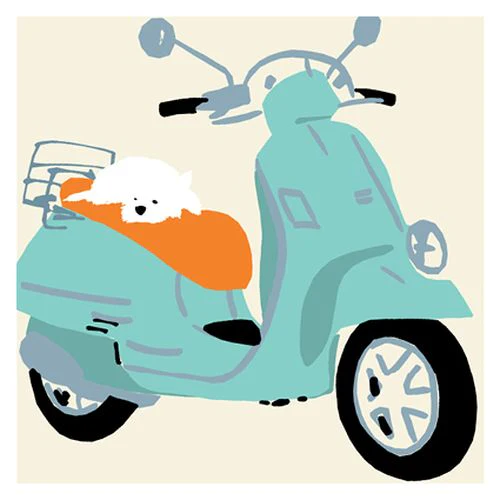 Jenny Frean - Mod dog