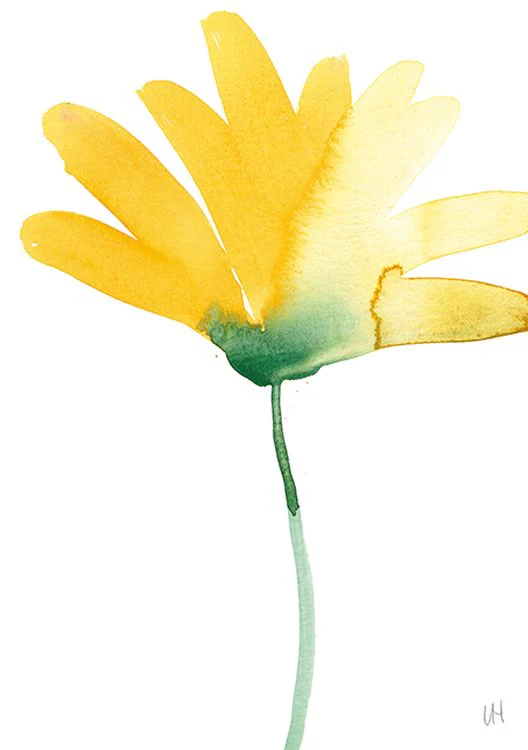 Lisa Hardy - Calendula