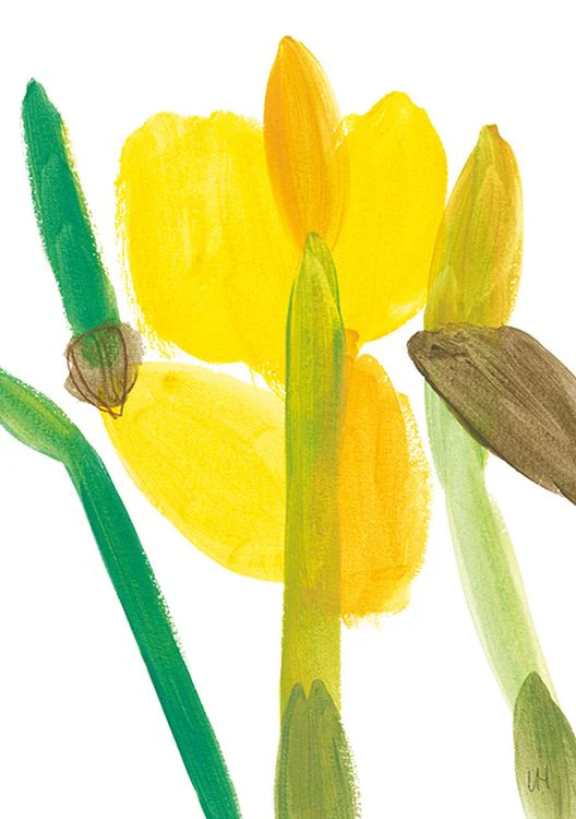 Lisa Hardy - Flore VII