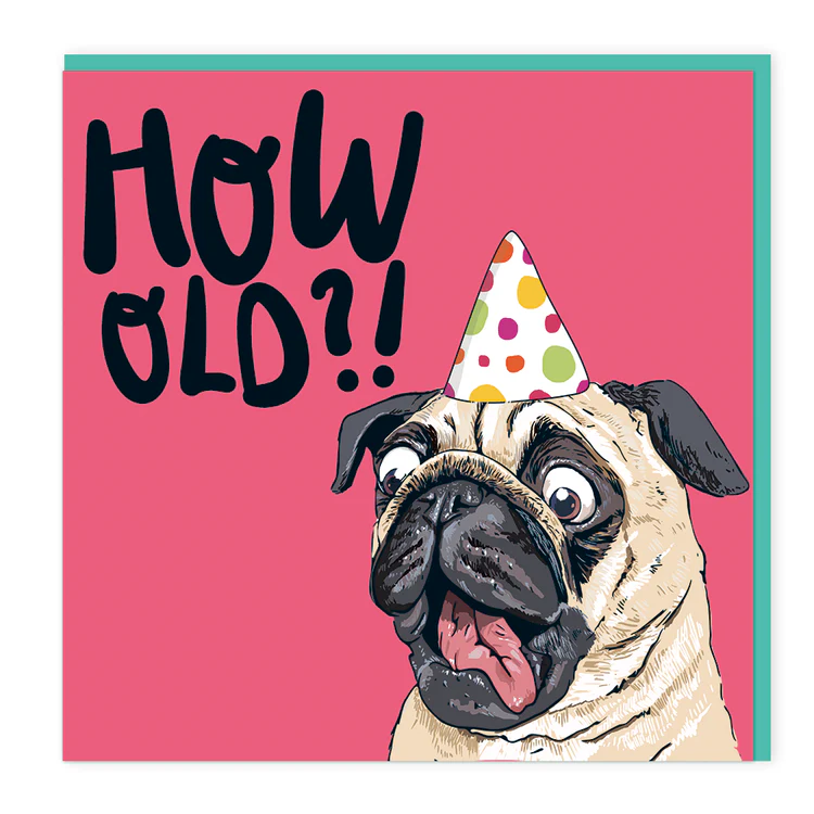 Lovely Paper Stuff - Pug - How Old?