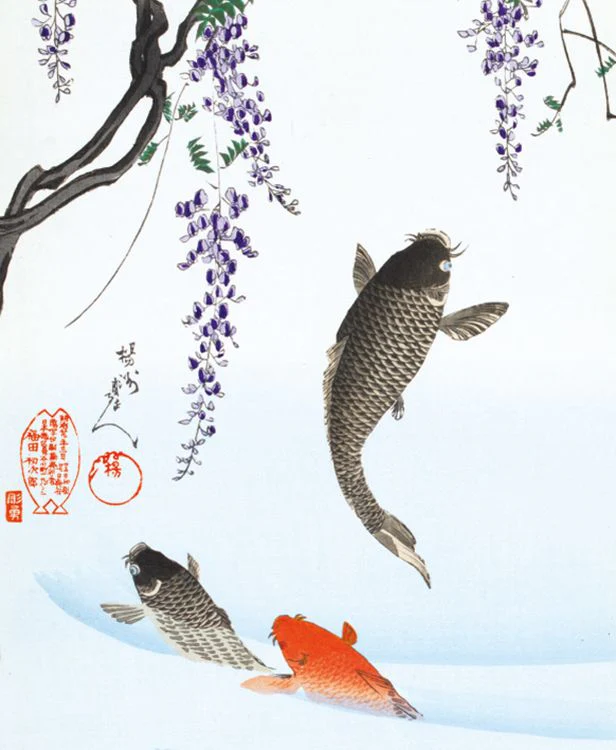 Museums and Galleries - Carp Jumping Under a Wisteria Tree