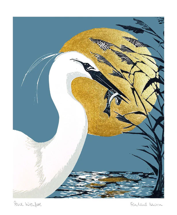 Museums And Galleries - Fenland Moon
