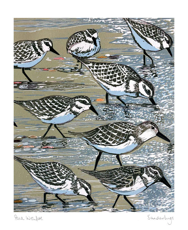 Museums And Galleries - Sanderlings