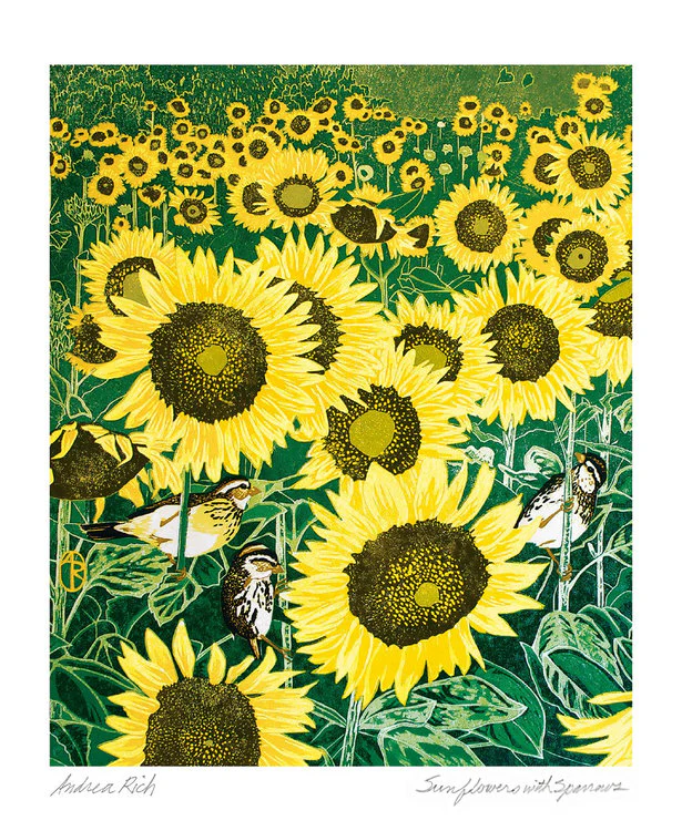 Museums And Galleries - Sunfowers With Sparrows
