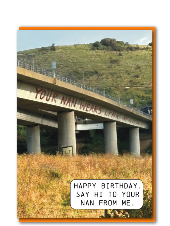 Objectables Publishing - Nan Wears Lynx Birthday