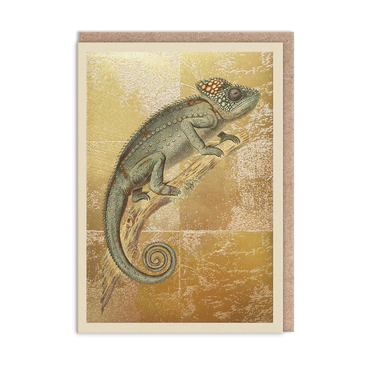 Ohh Deer - Cameleon Verruqueux