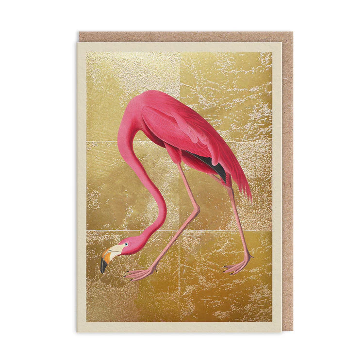 Ohh Deer - Greater Flamingo