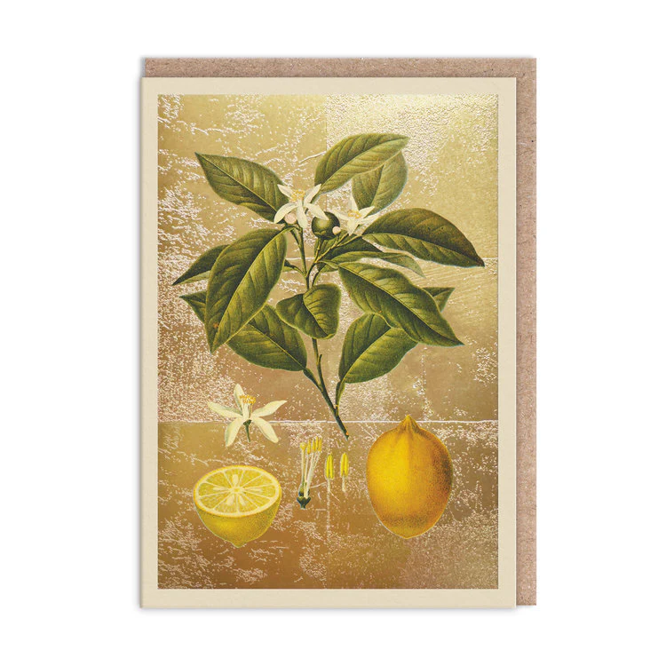 Ohh Deer - Lemons