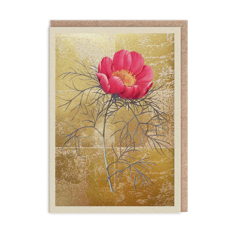 Ohh Deer - Peony