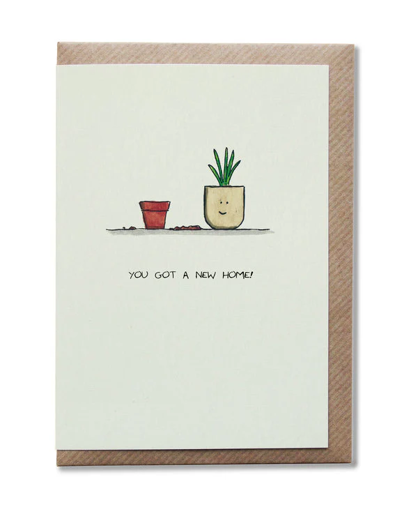 Ross J Designs - New Home Plants