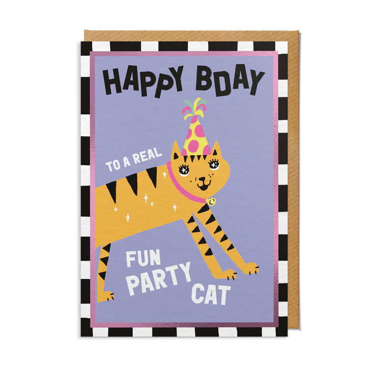 Sanders De Roeper - Birthday Party Cat