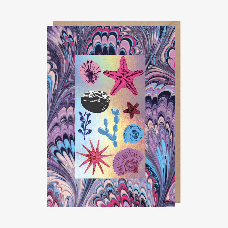 Sharon King Chai - Seashell Collection