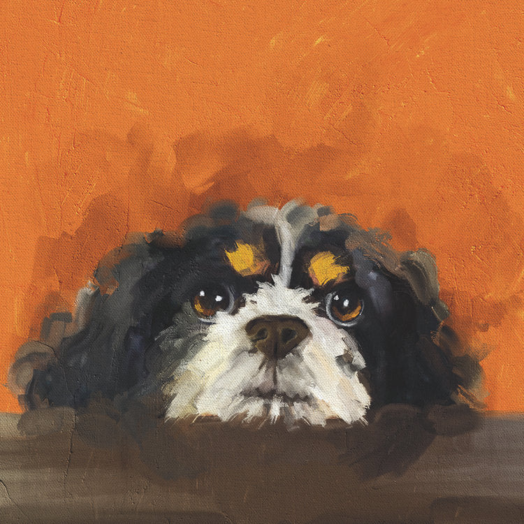 The Art File - Archie
