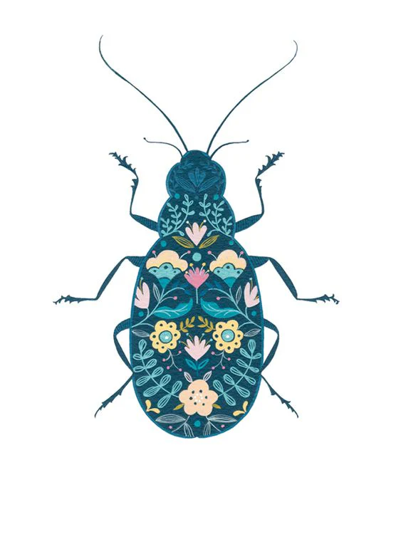 The Art File - Beetle