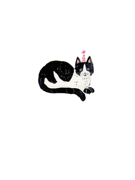 The Art File - Black And White Cat