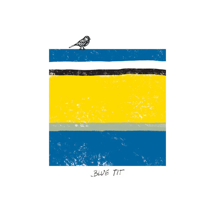 The Art File - Blue Tit