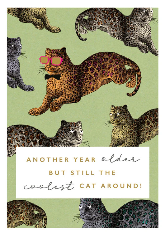 The Art File - Coolest Cat