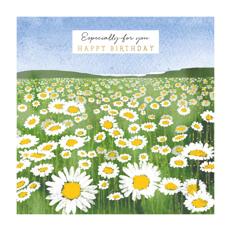 The Art File - Daisy Field