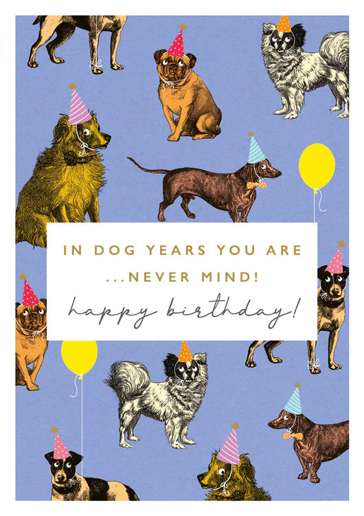 The Art File - Dog Years