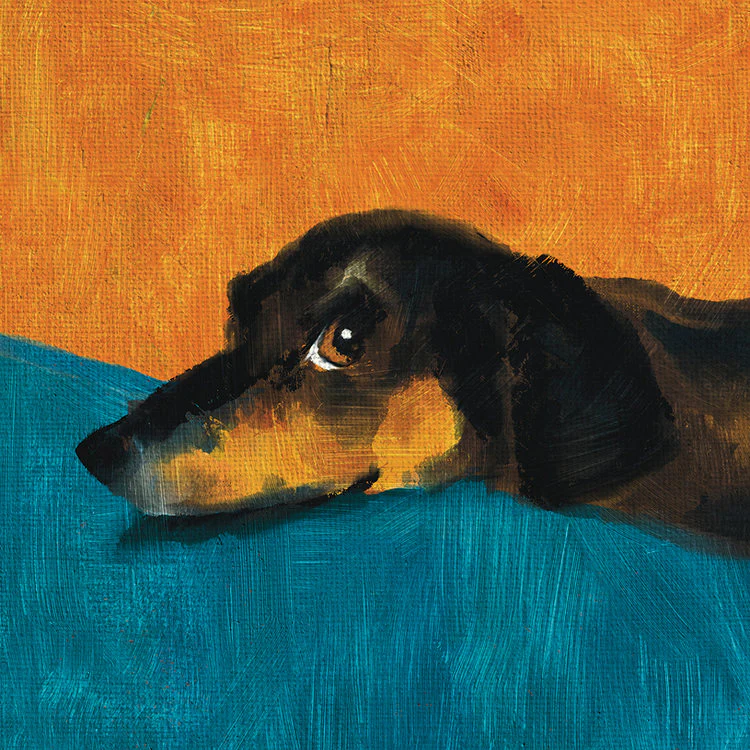 The Art File - Fred The Dog
