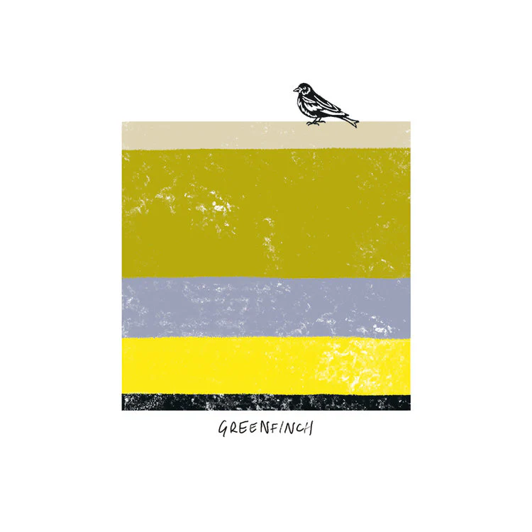 The Art File - Greenfinch