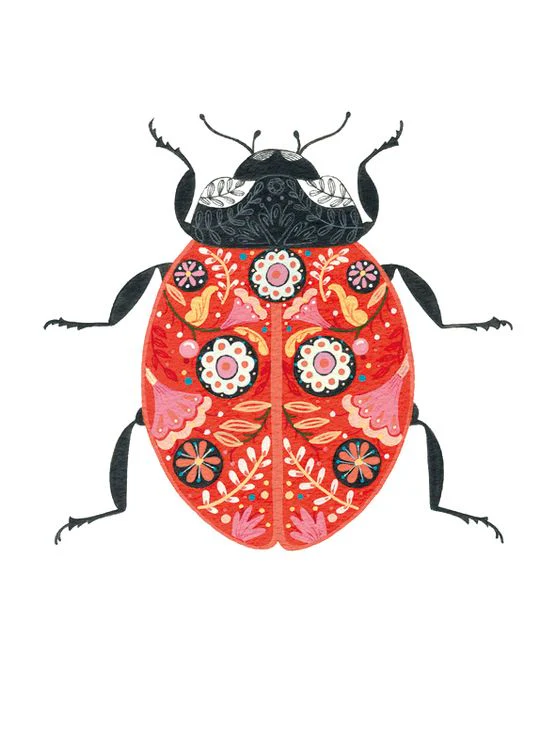 The Art File - Ladybird