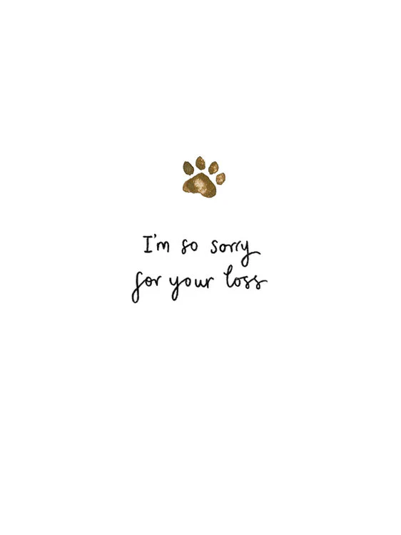 The Art File - Paw Print Sorry For Your Loss
