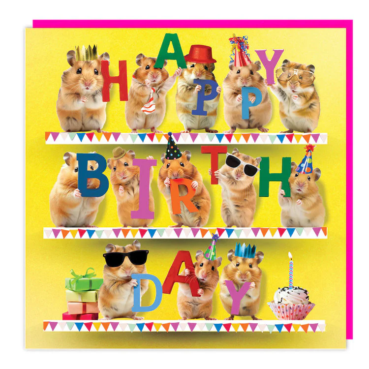 Tracks  - Birthday Hamsters - Image 2
