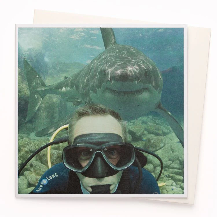 U Studio - Shark