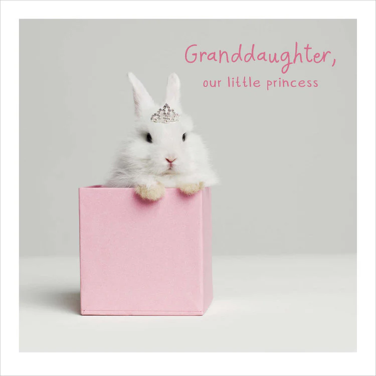 UK Greetings - Granddaughter Our Little Princess