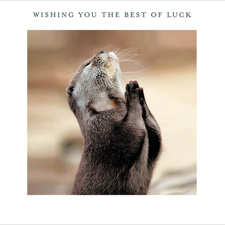 Woodmansterne - Best of Luck Otter